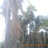 /photo/701804/一个人/psb (2)_1_1_small.jpg